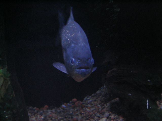 618x457 pixels (118K)